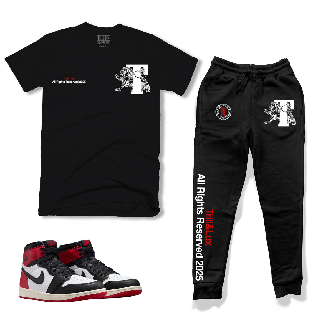 black cotton t-shirt and fleece jogger outfit set with lion design made to match jordan 1 OG black toe reimagined
