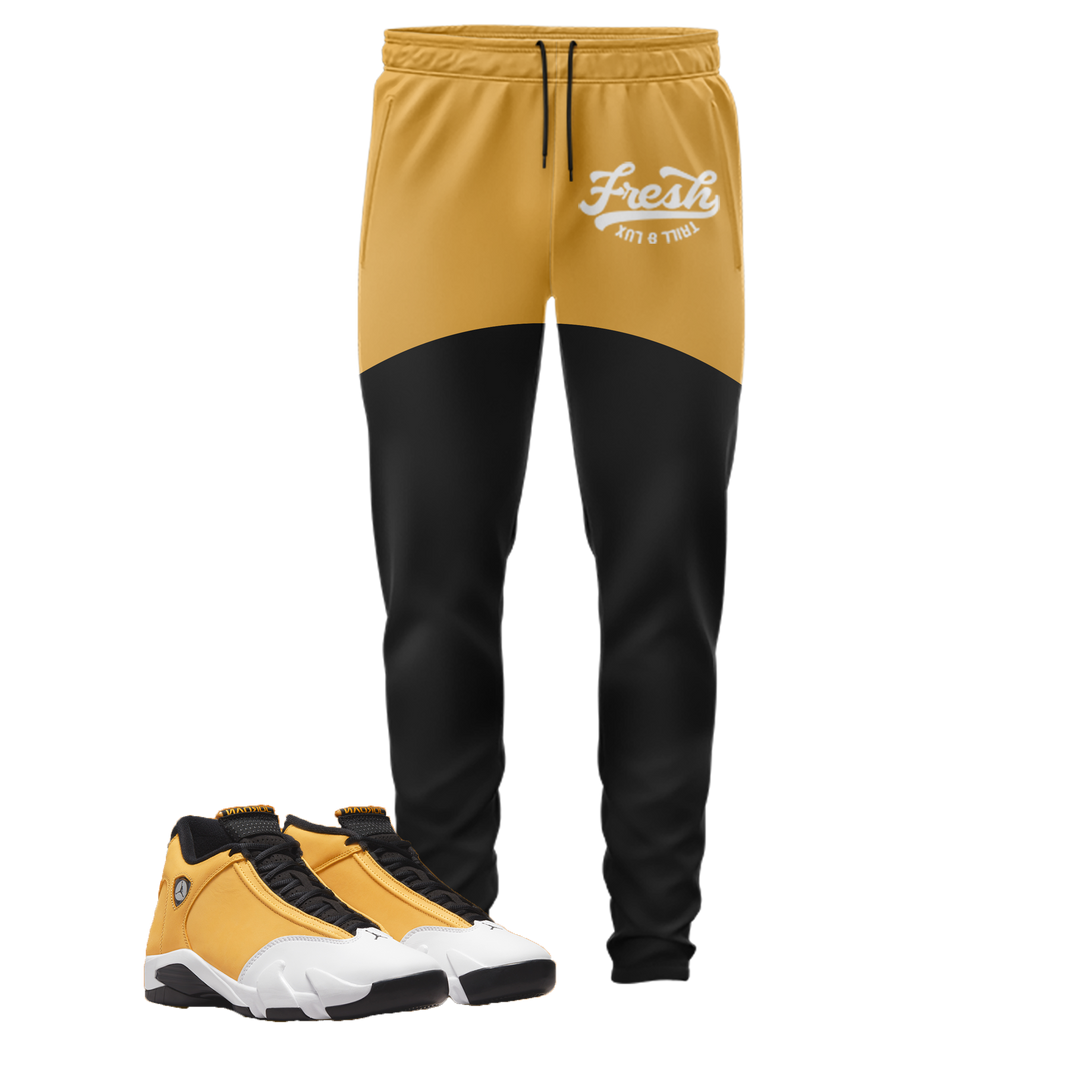 Fresh | Retro Air Jordan 14 Ginger Colorblock Jogger