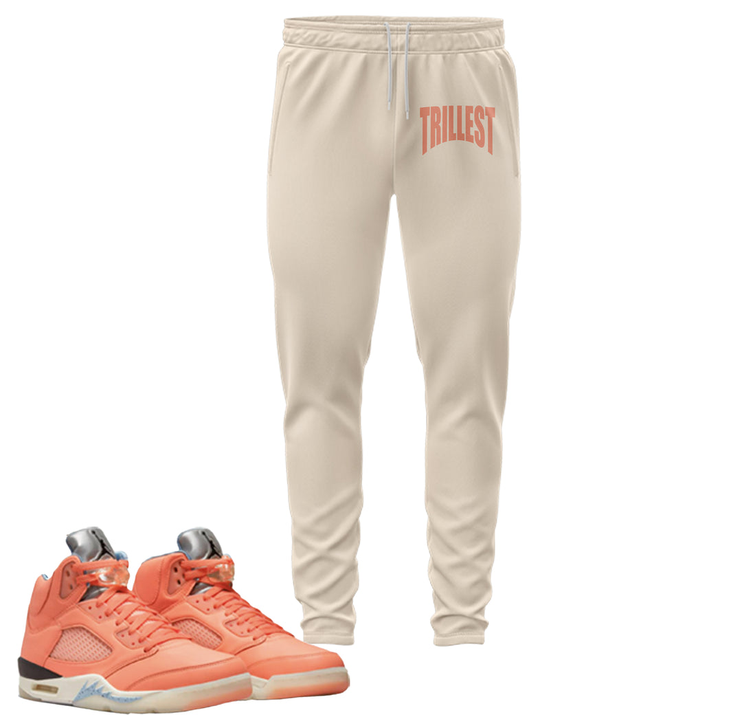 Trillest | Retro Jordan 5 BLISS Jogger
