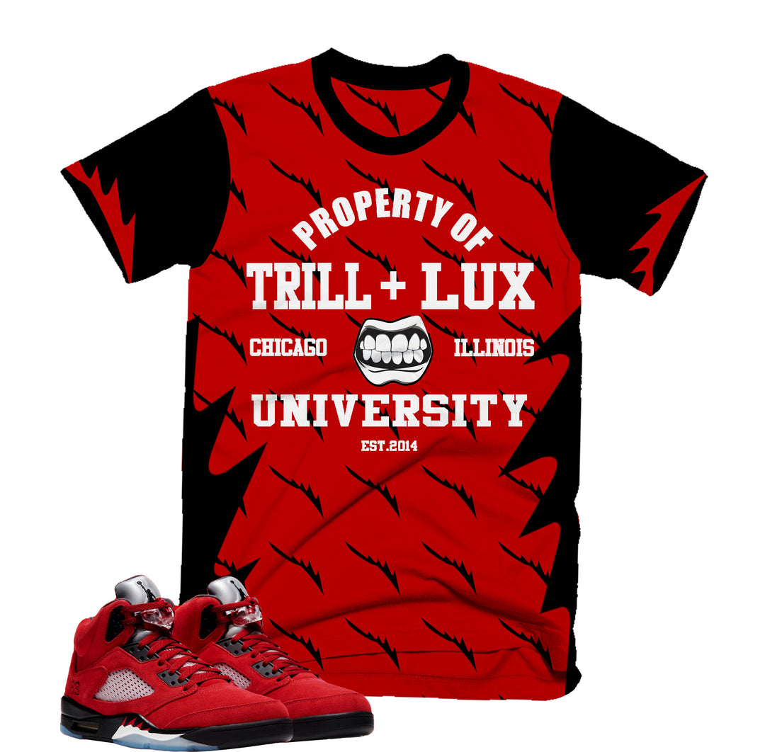 Property of The Trill Tee | Retro Air Jordan 5 Toro Bravo Colorblock T-shirt