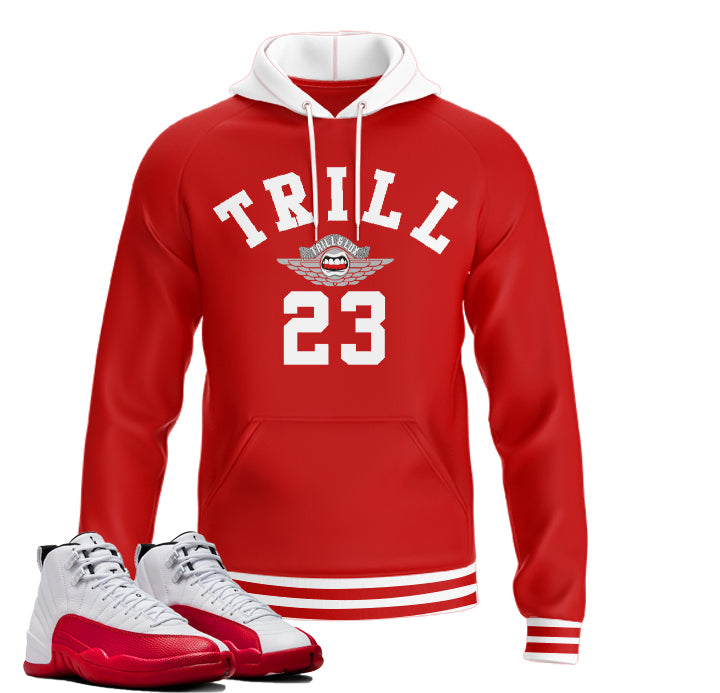 jordan 12 fiba hoodie